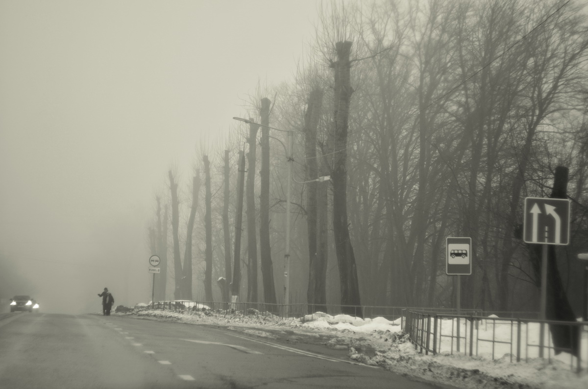 туманы 1-го января