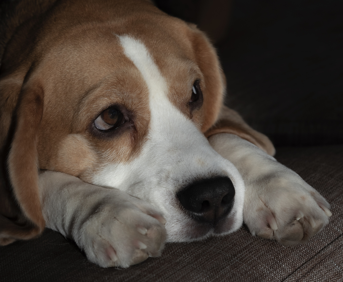 Праздники прошли...