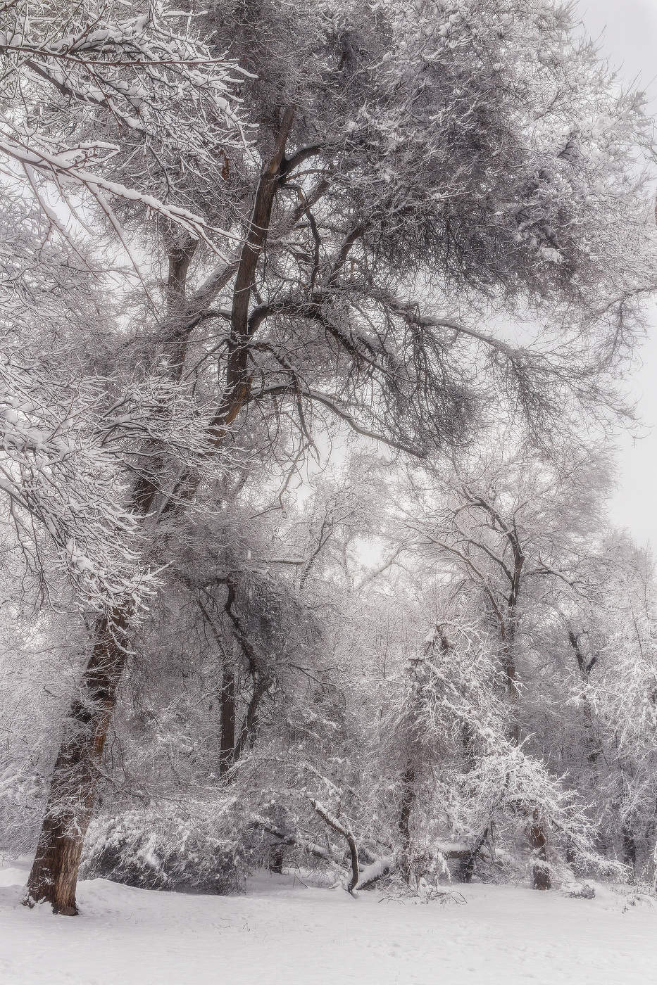 Зимние зарисовки...