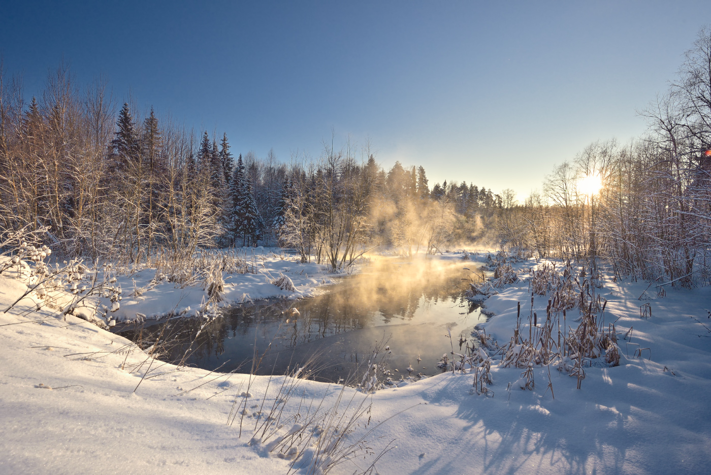 морозный день