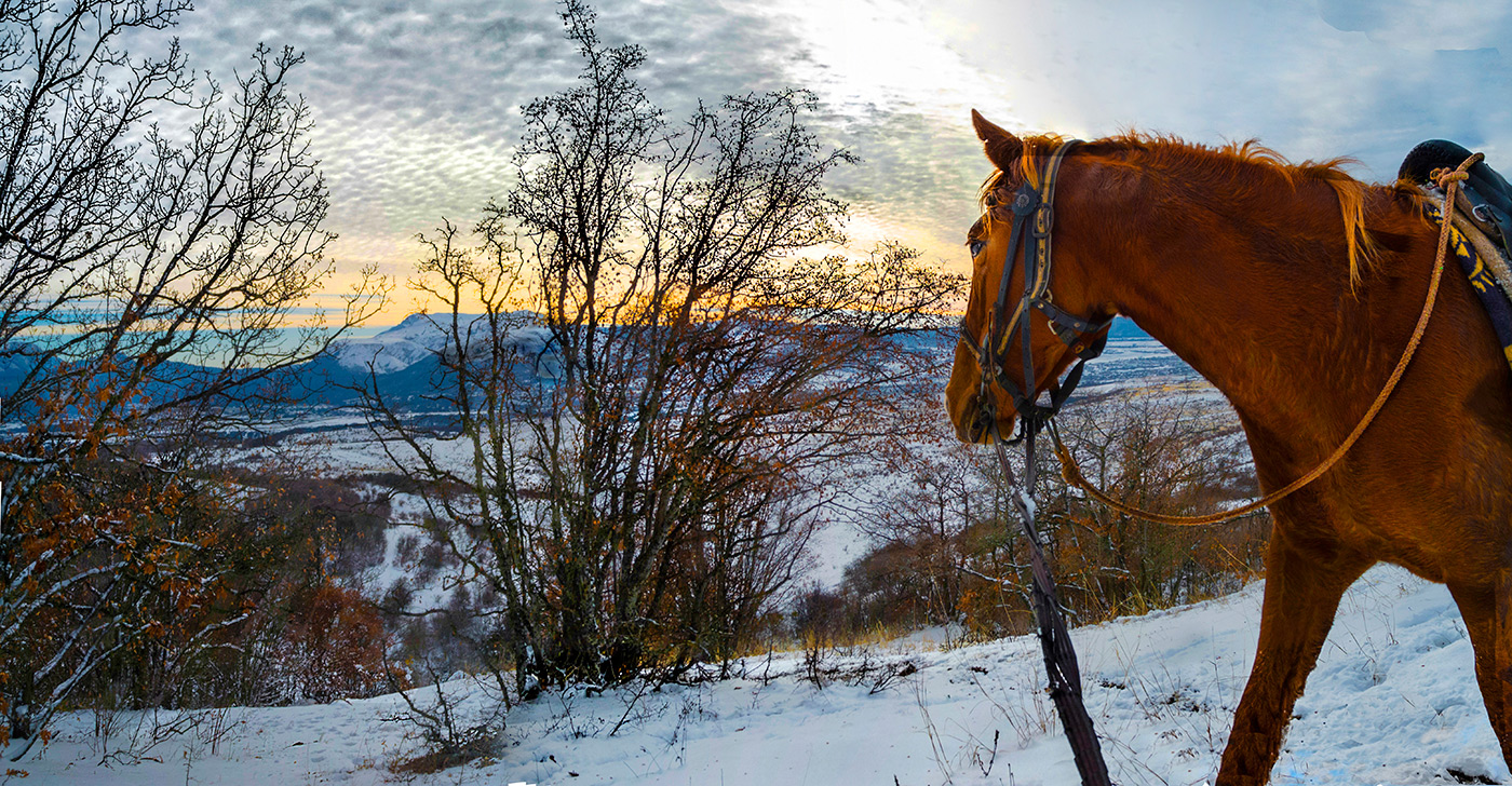 Созерцаем вместе