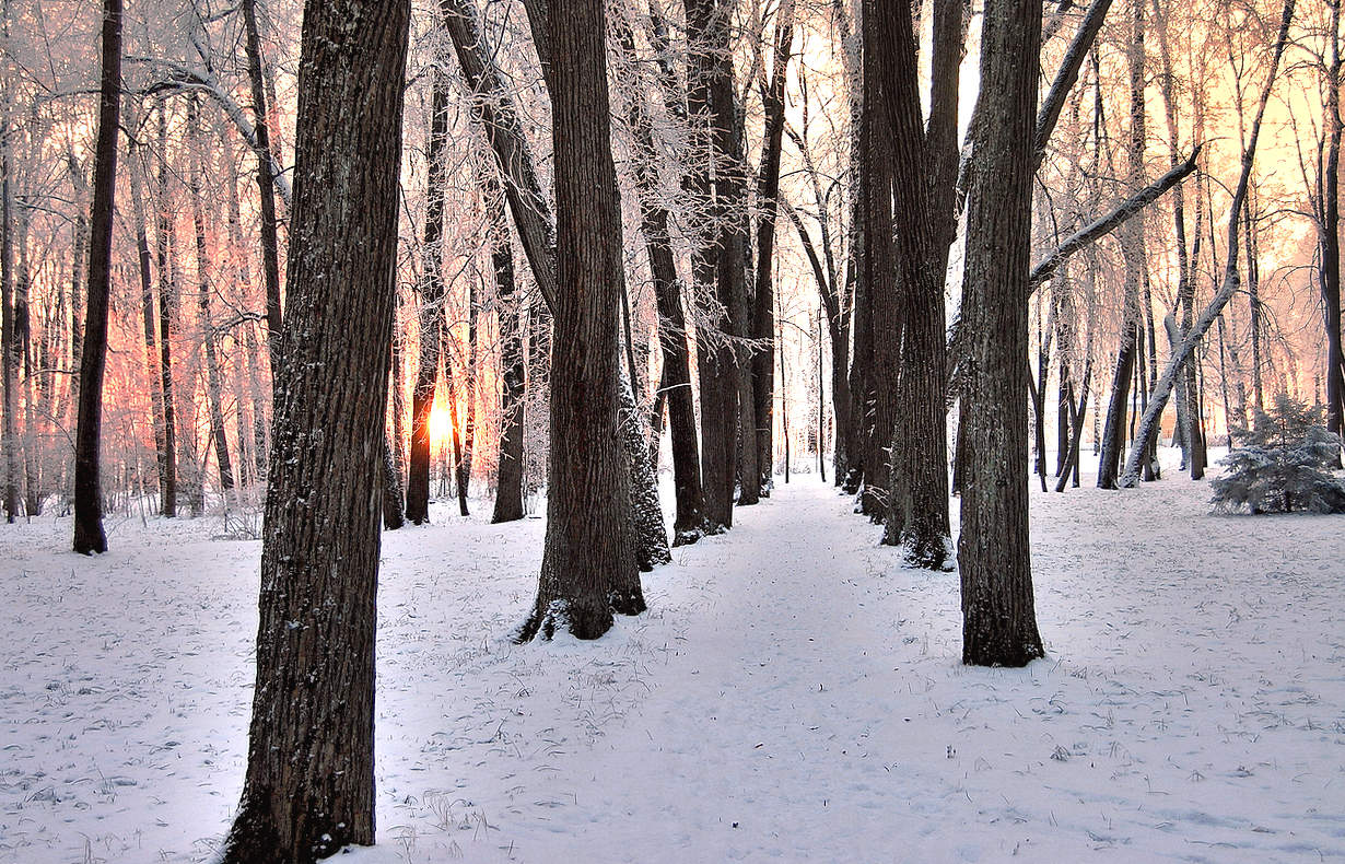 Горел огнем Зимы закат.