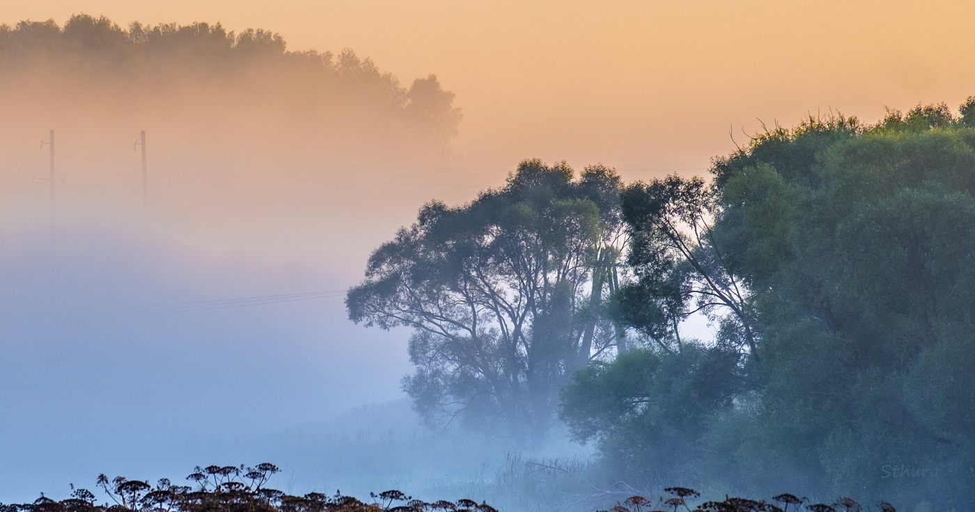 В зарослях Вазузы.