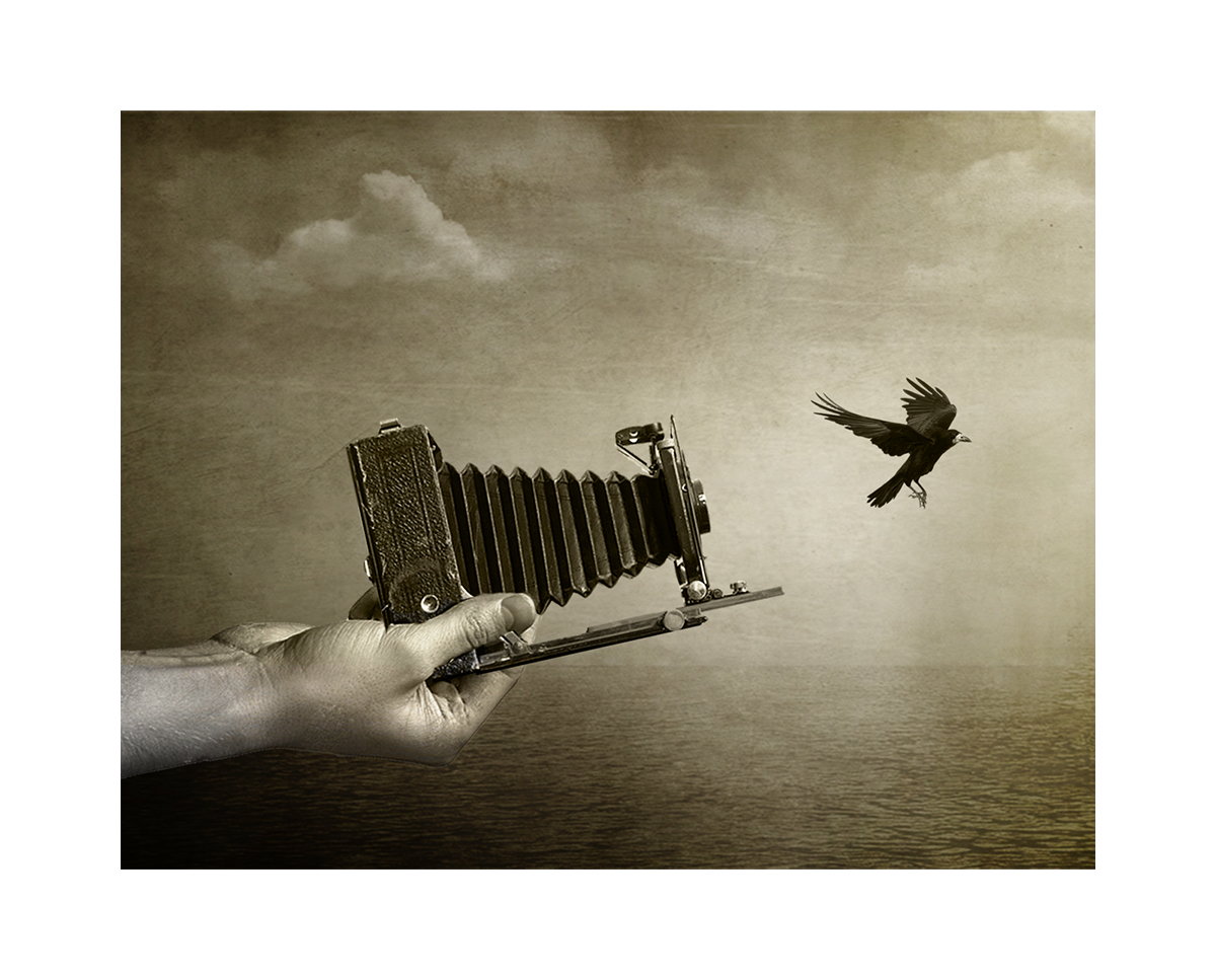 птичка вылетела