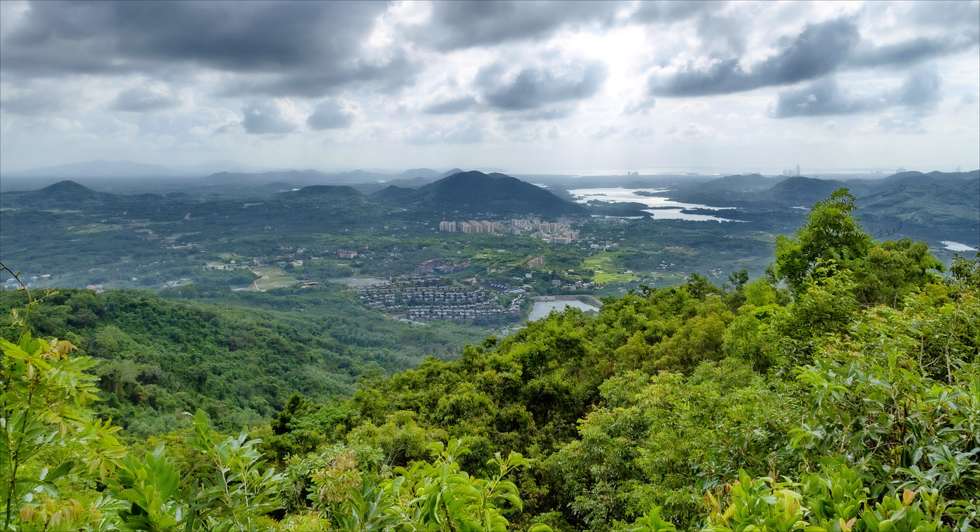 Зеленый остров