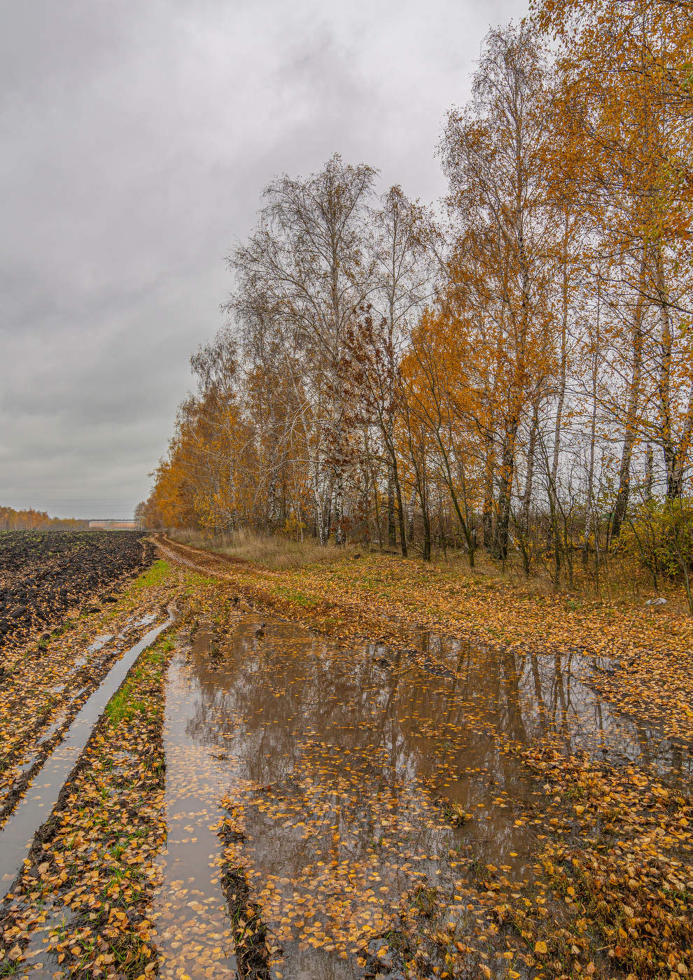 между полей