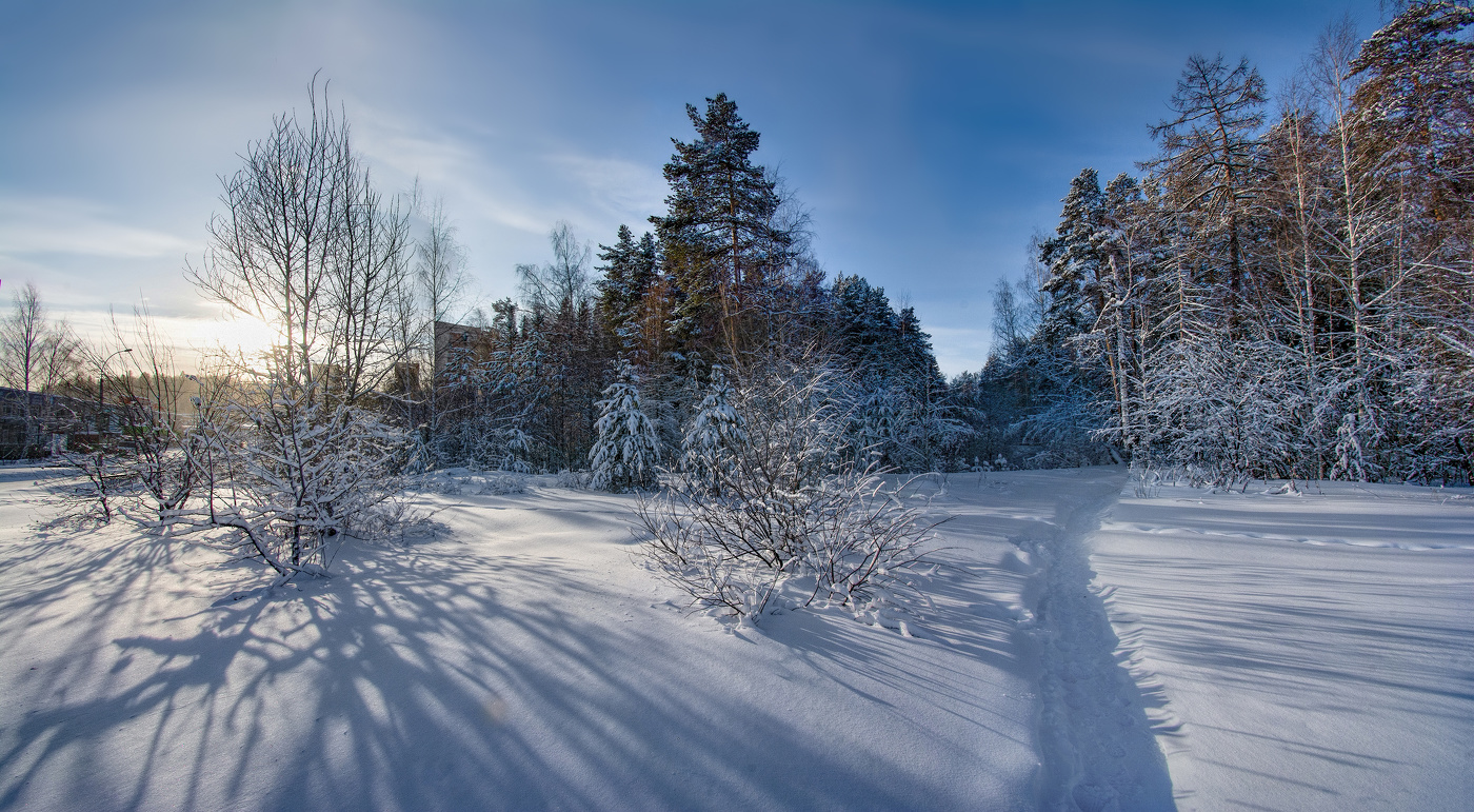 Зимний день пронизан солнцем