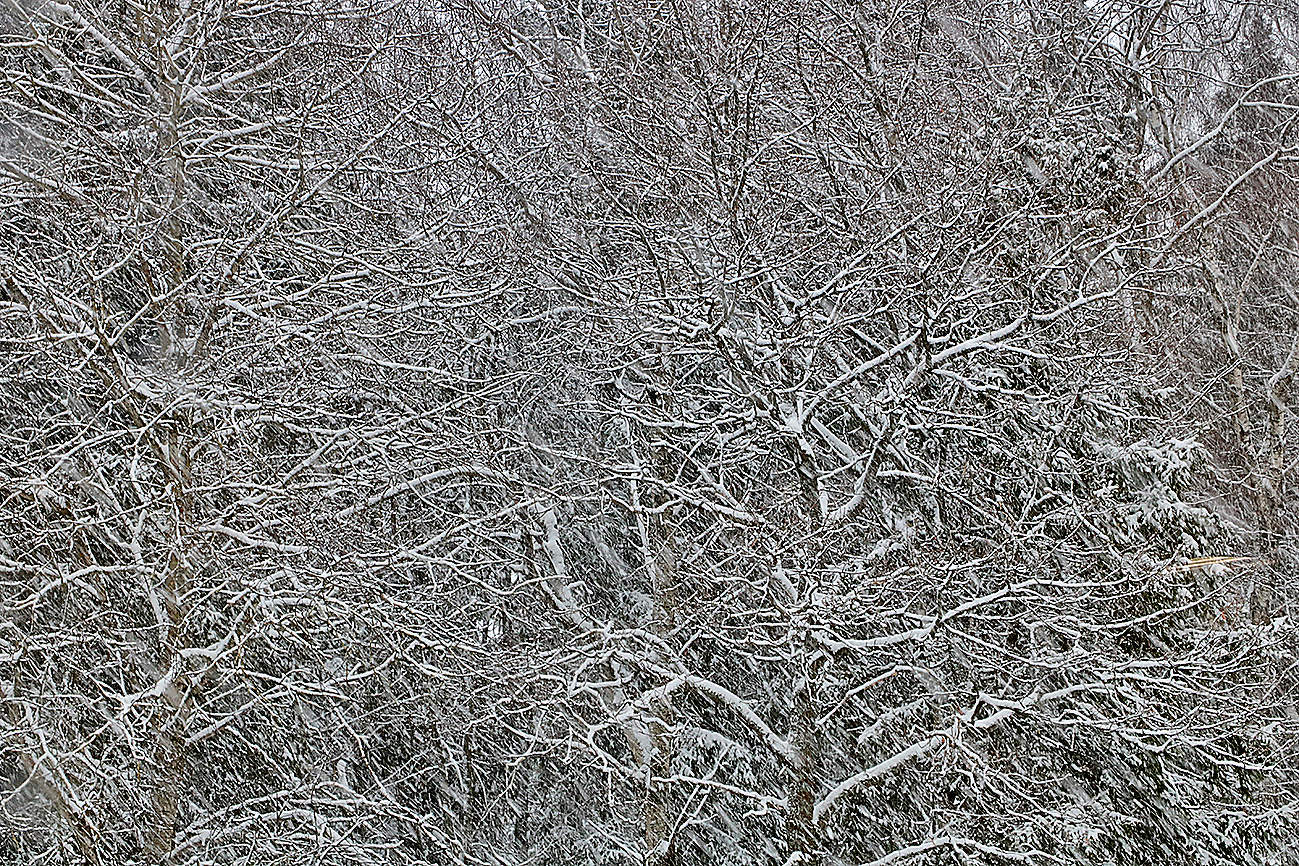 Зимняя графика