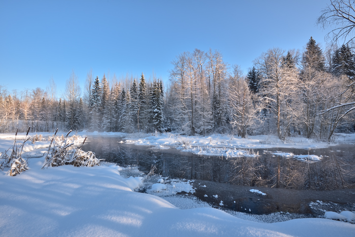 зимний день