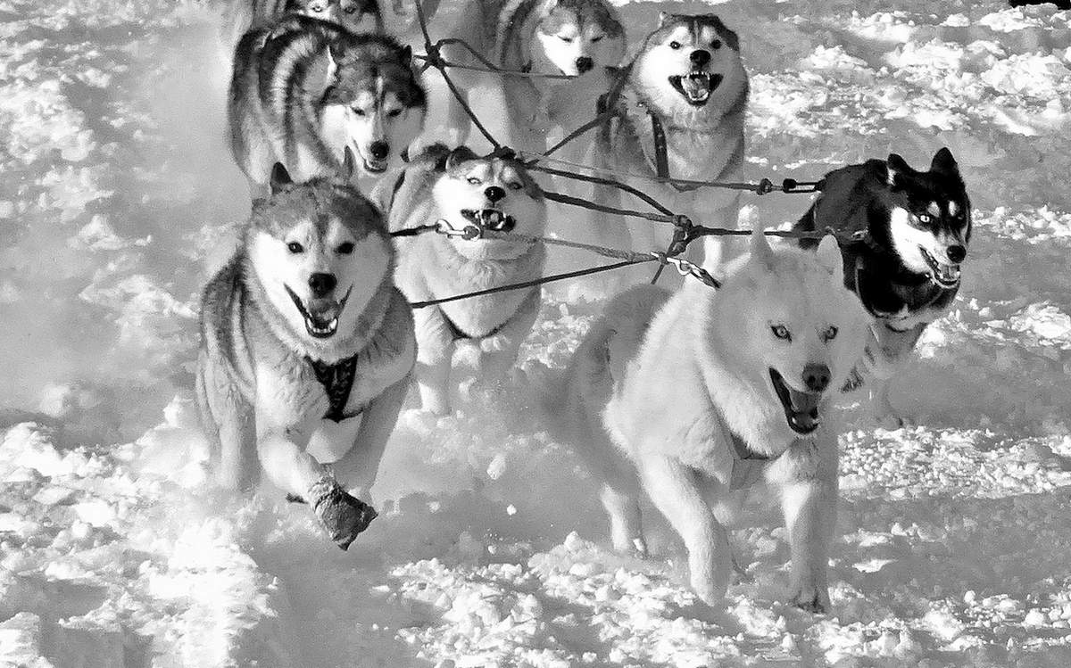 Вперёд, к победе!