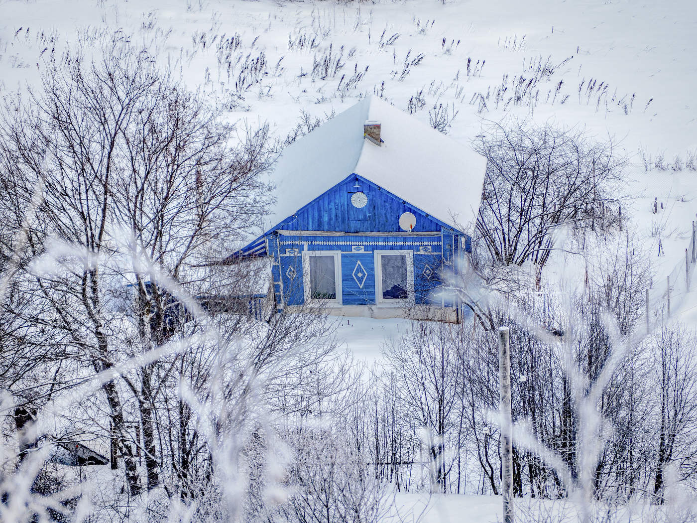 среди снегов