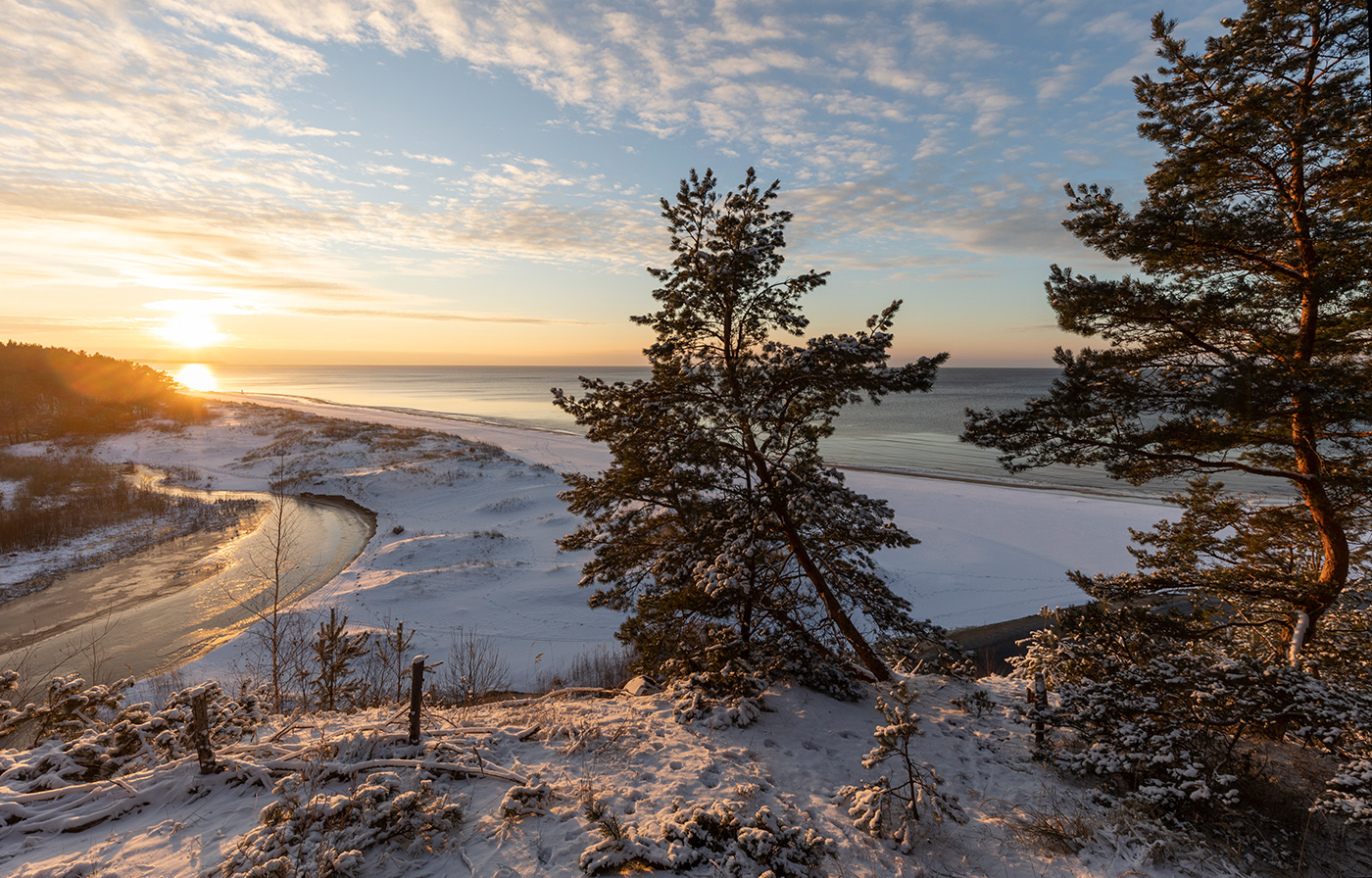 Роза ветров