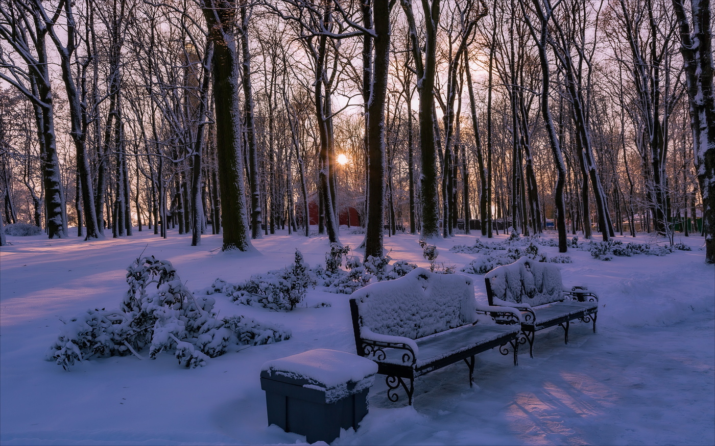 В Зимнем парке.