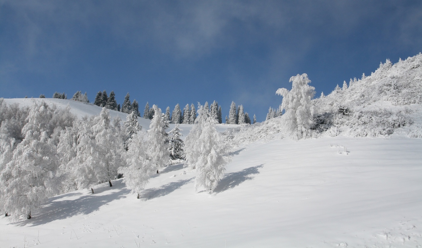Зимний день