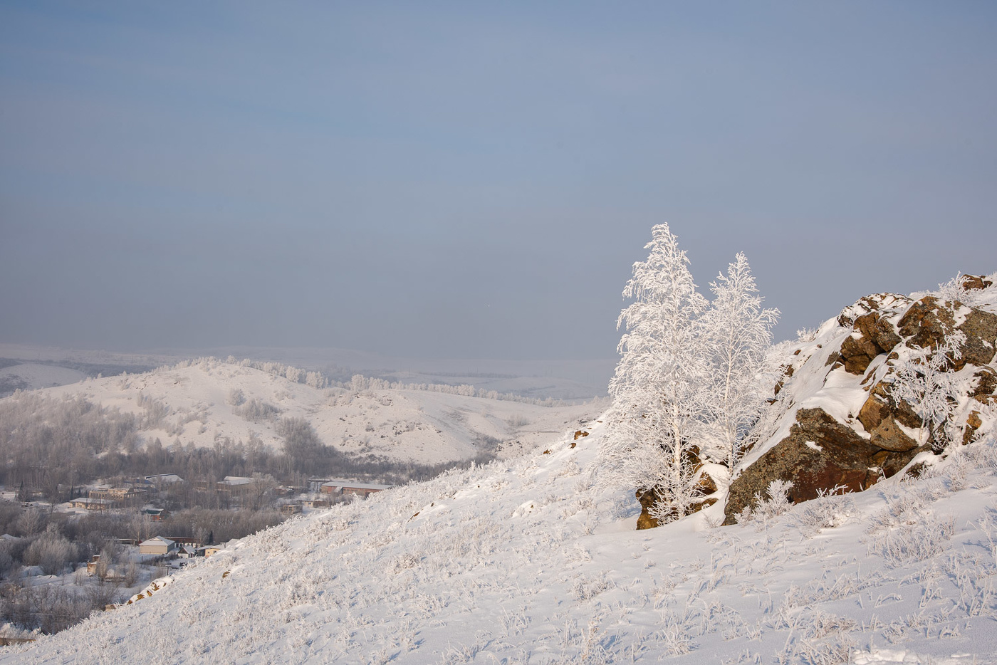 Две березки