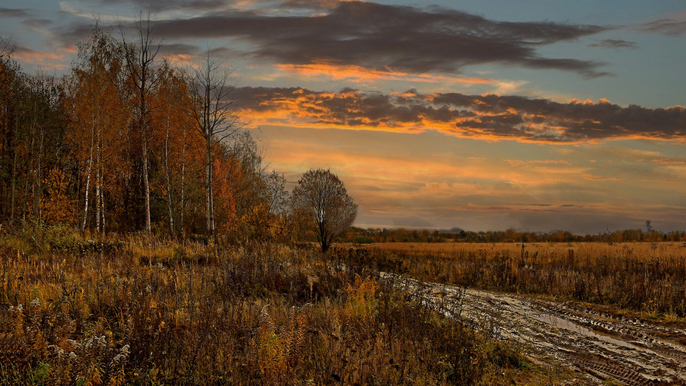 После дождя