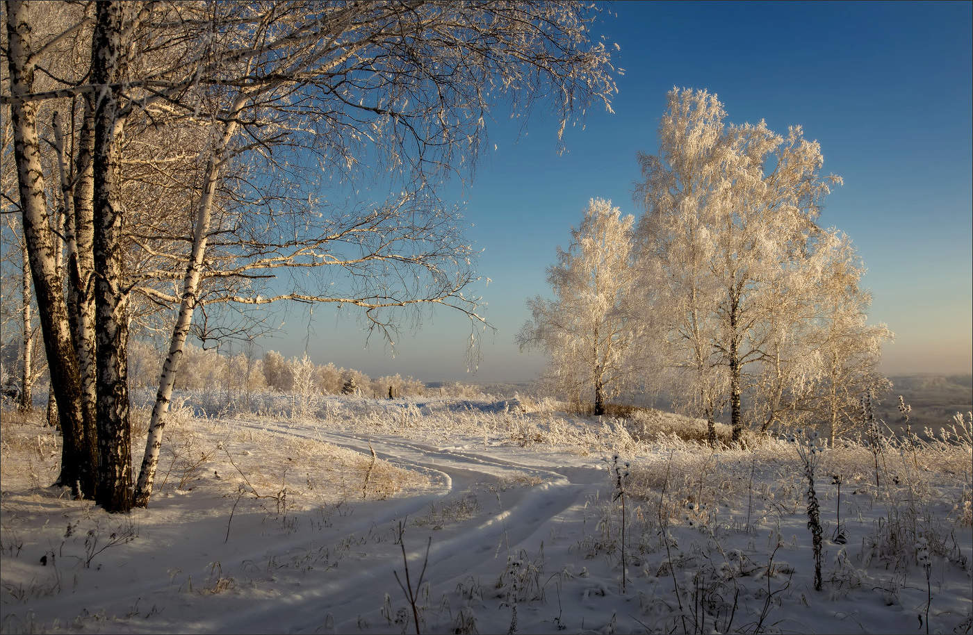 Зимние наряды...