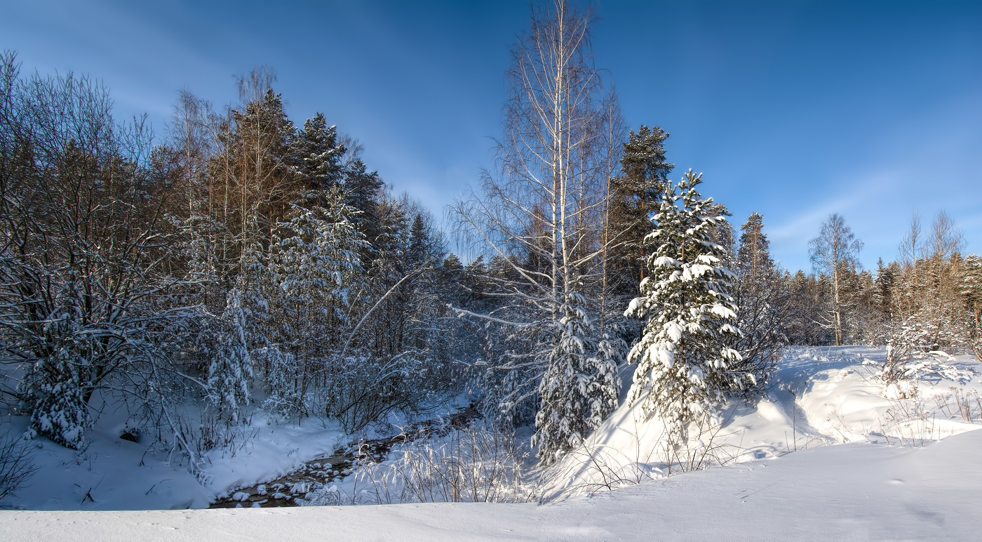 Солнечный полдень