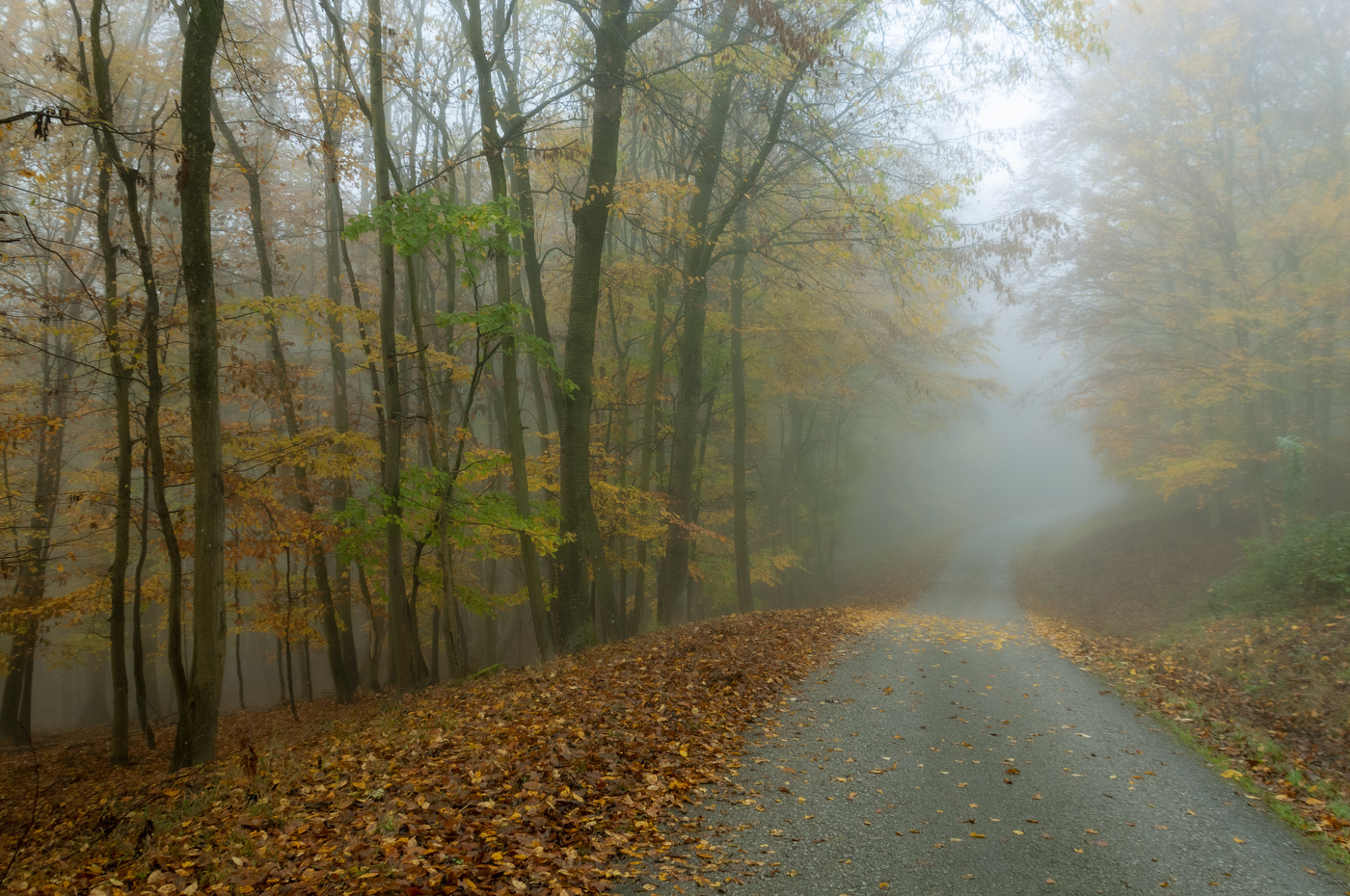 Золотой ноябрь