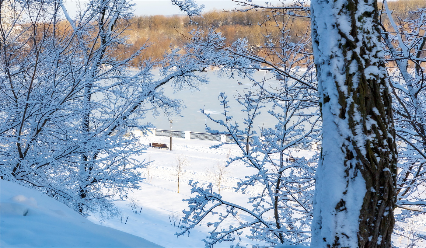 В Зимнем парке