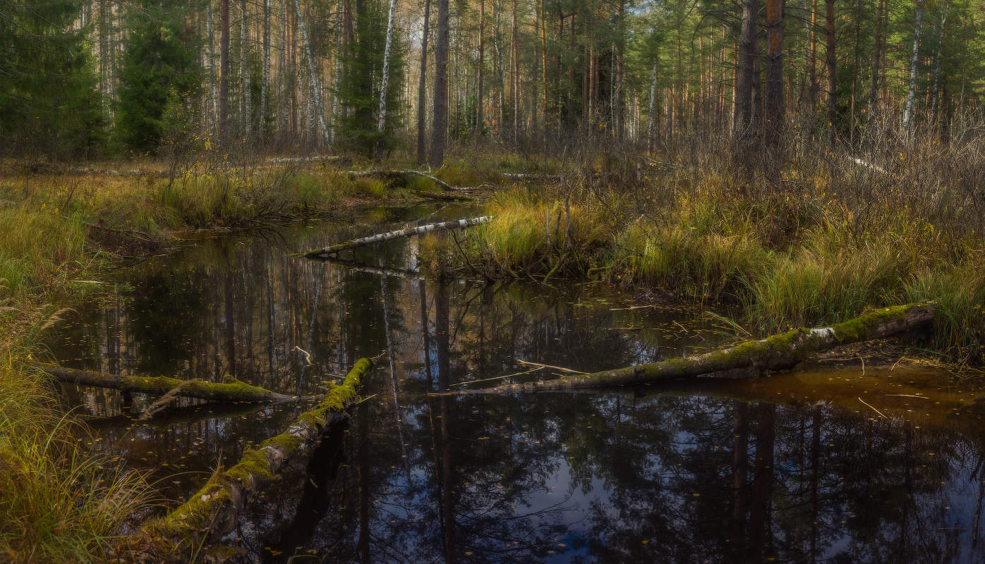 Потерявшаяся речка