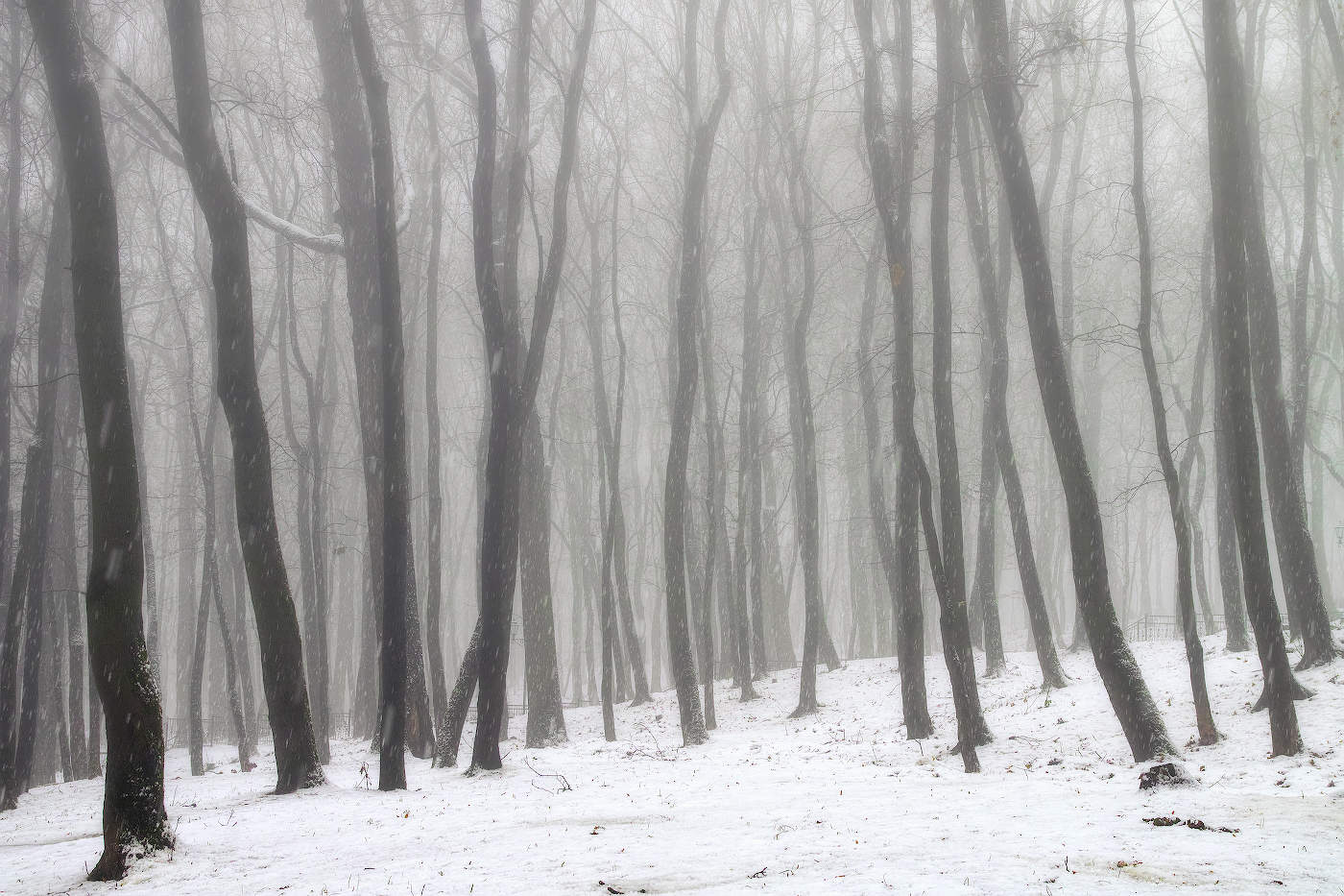 Декабрьская оттепель