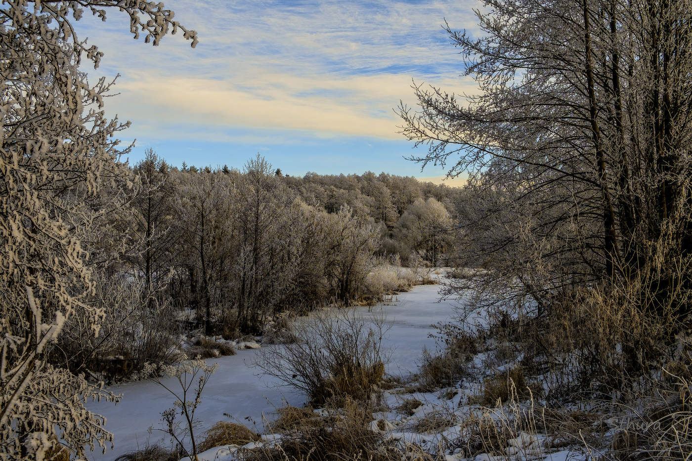 Зимний день.