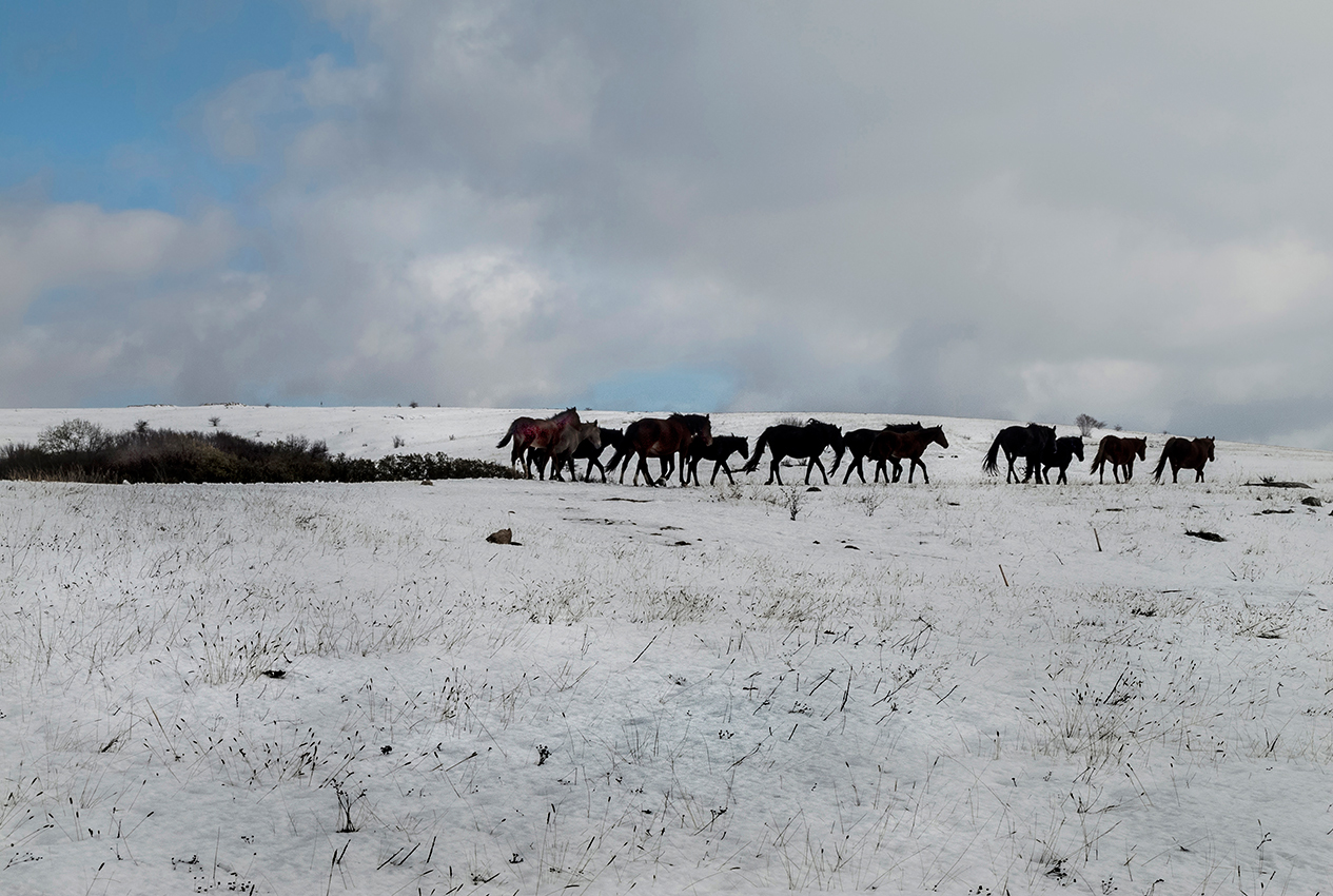 Белая пустыня