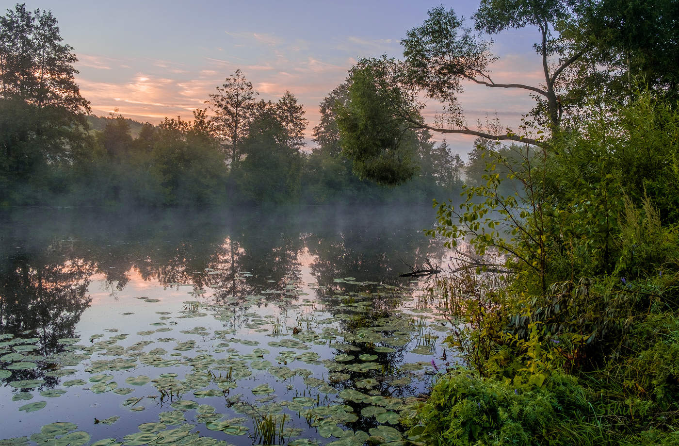 Рожок на заре.