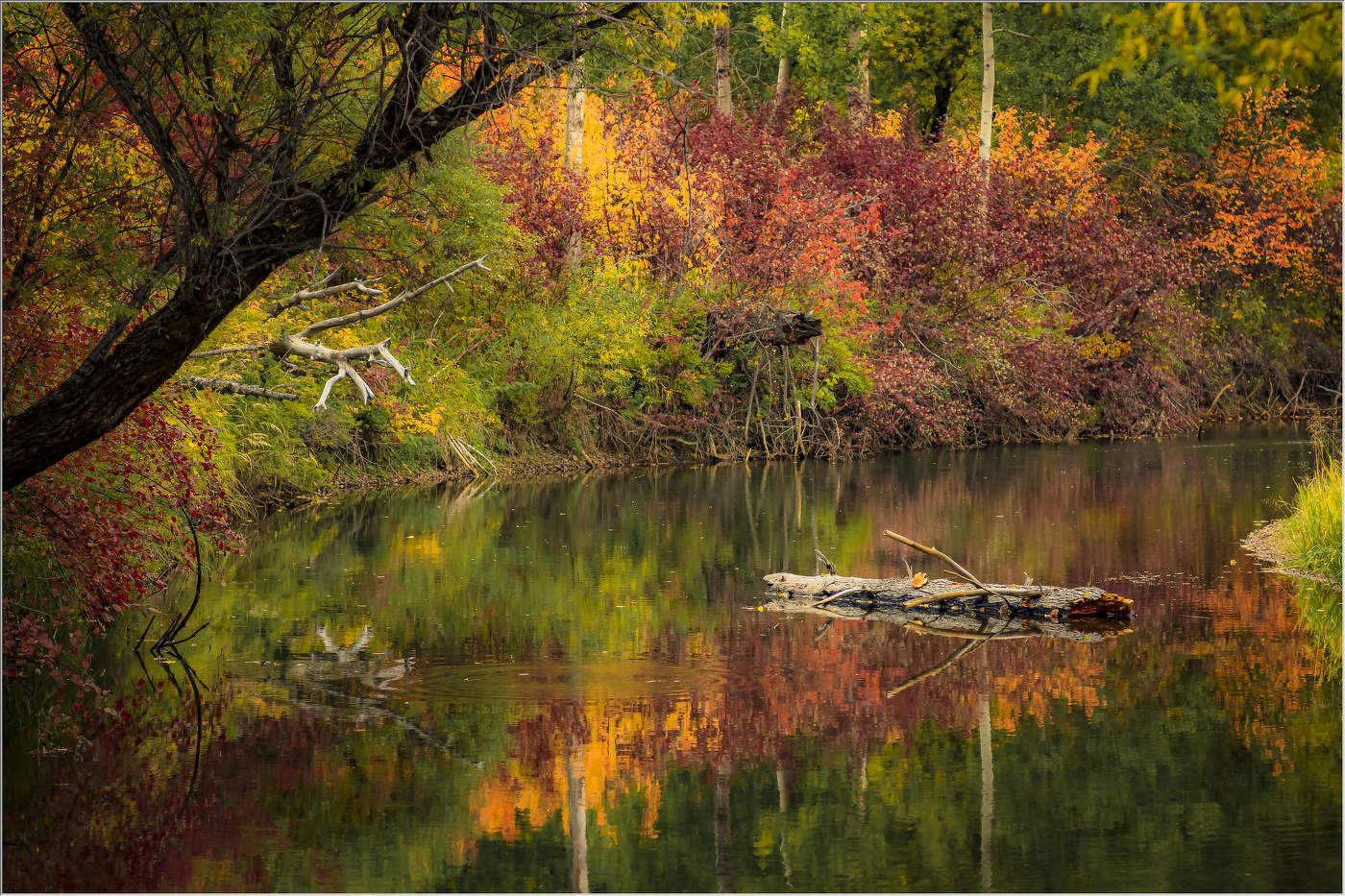 Осенние краски