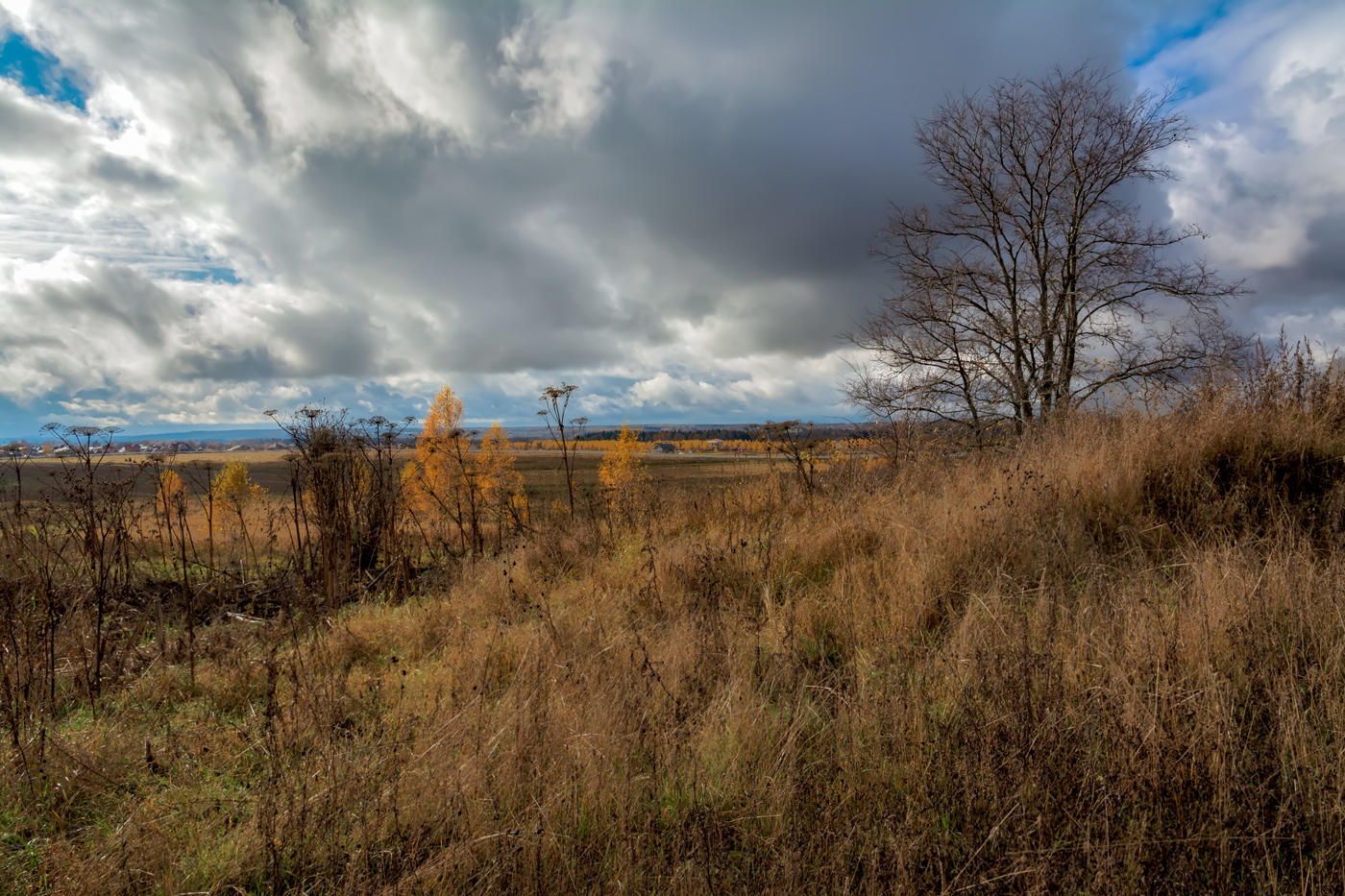 осенние зарисовки