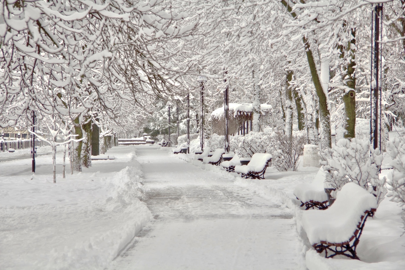 Один из зимних дней