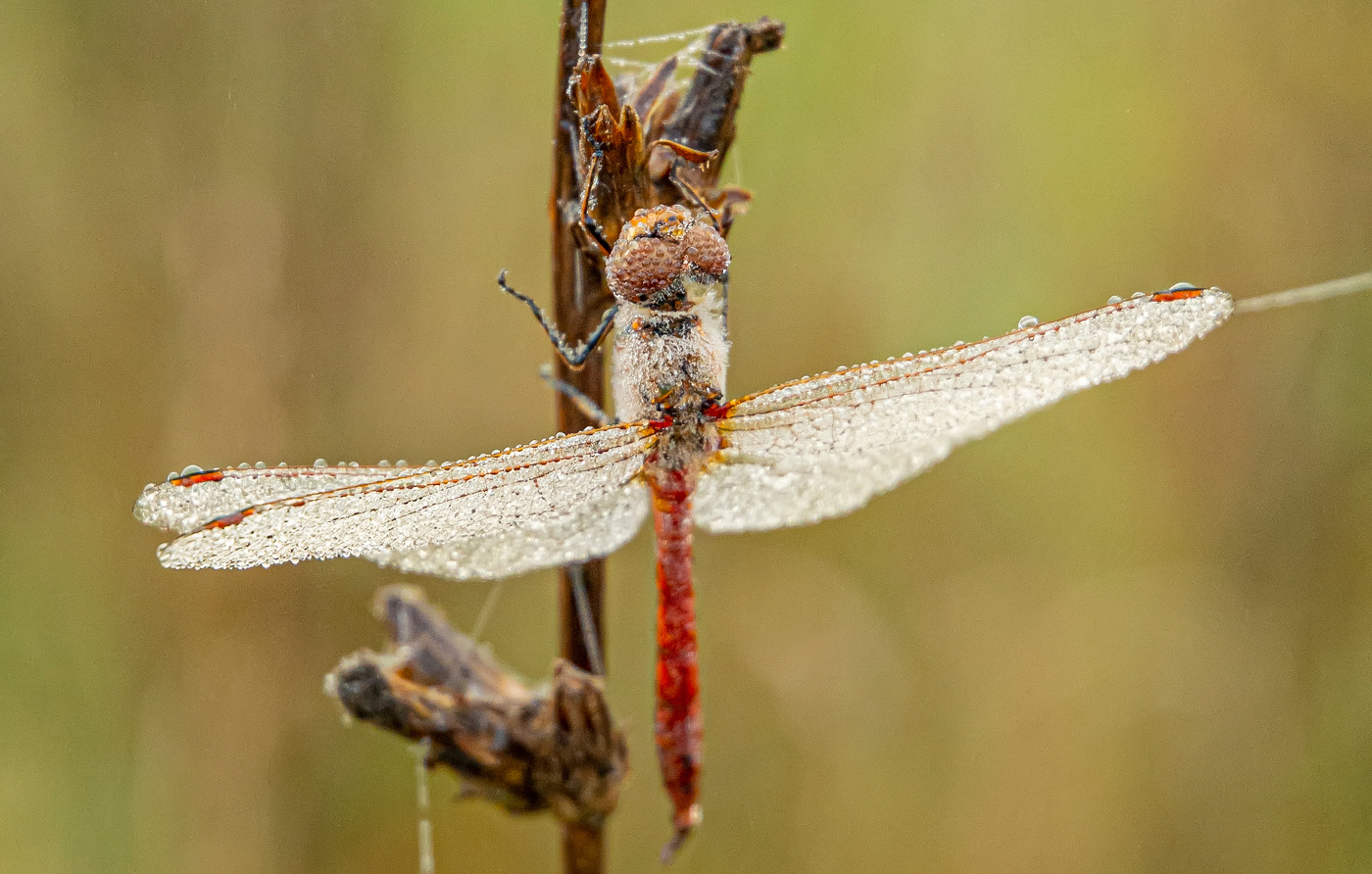 утром на берегу