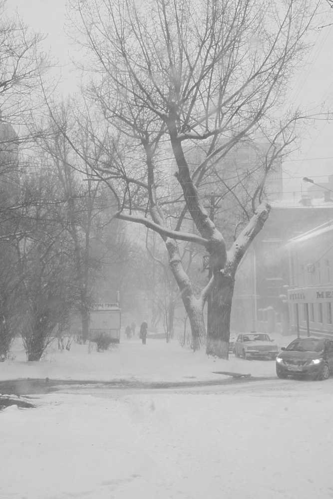 зима в другом году