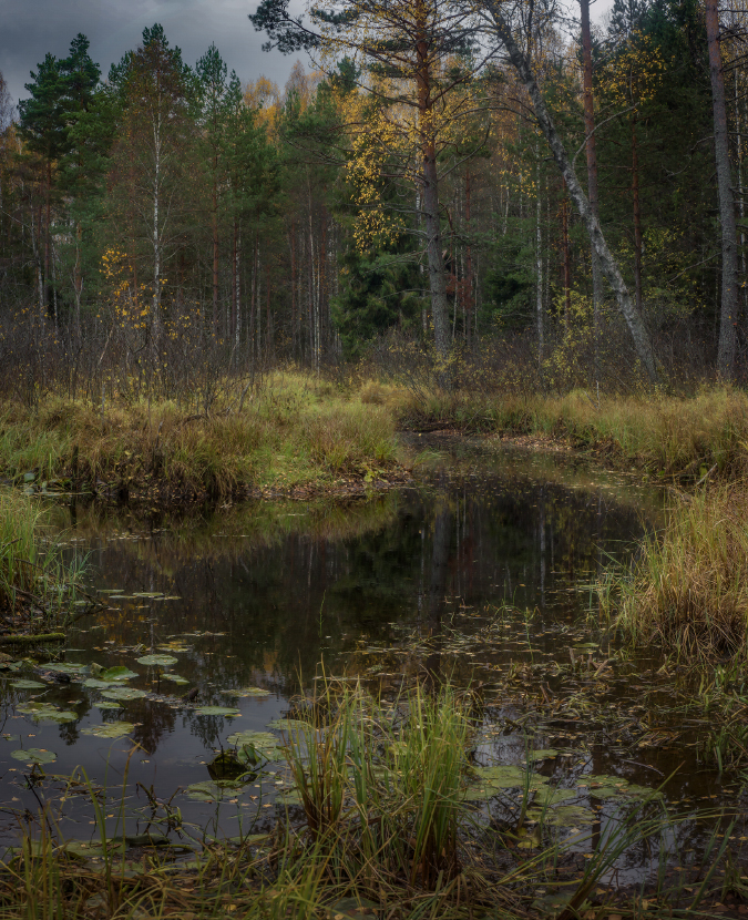 Тихое место