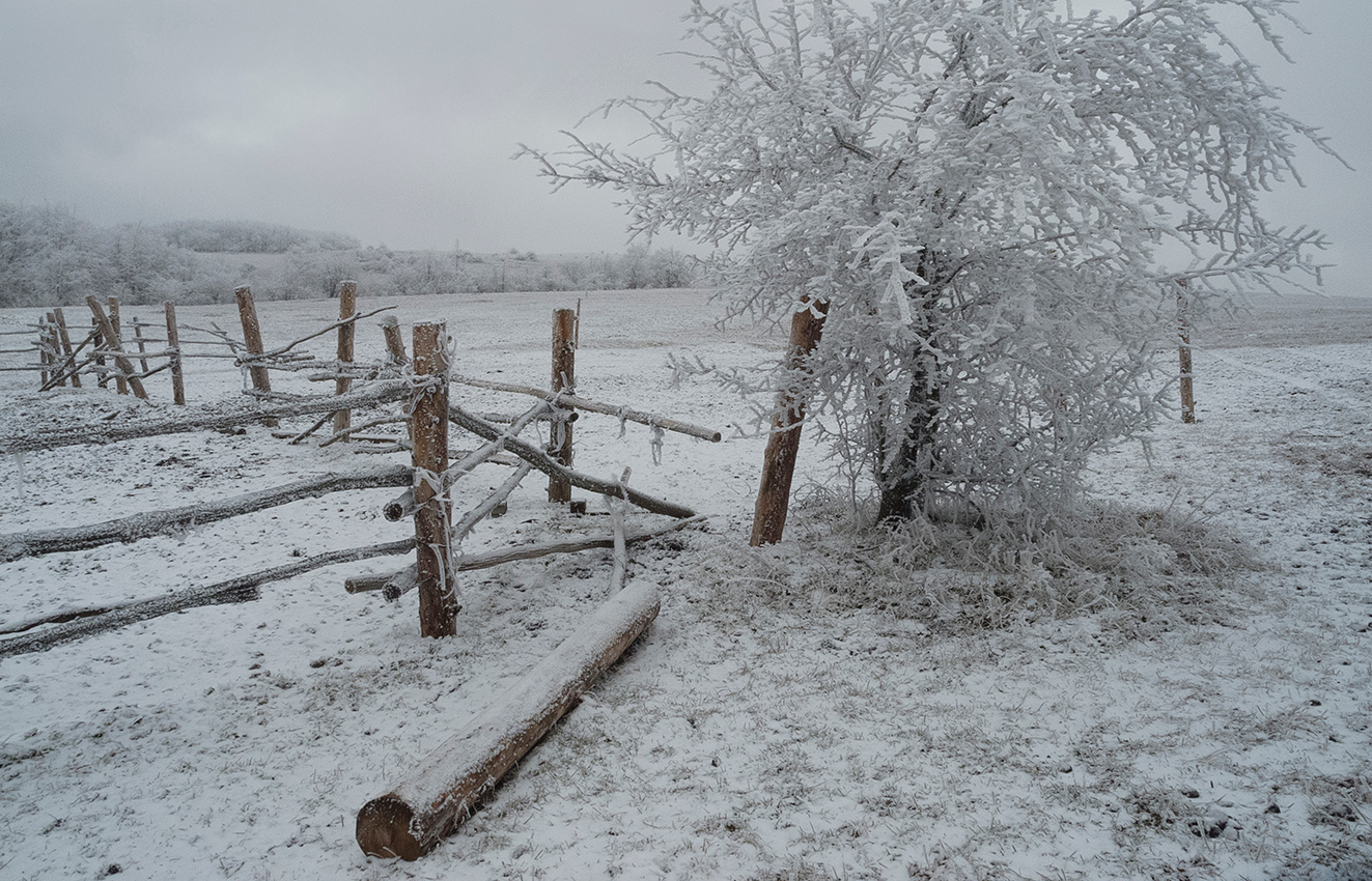 Замороженный этюд