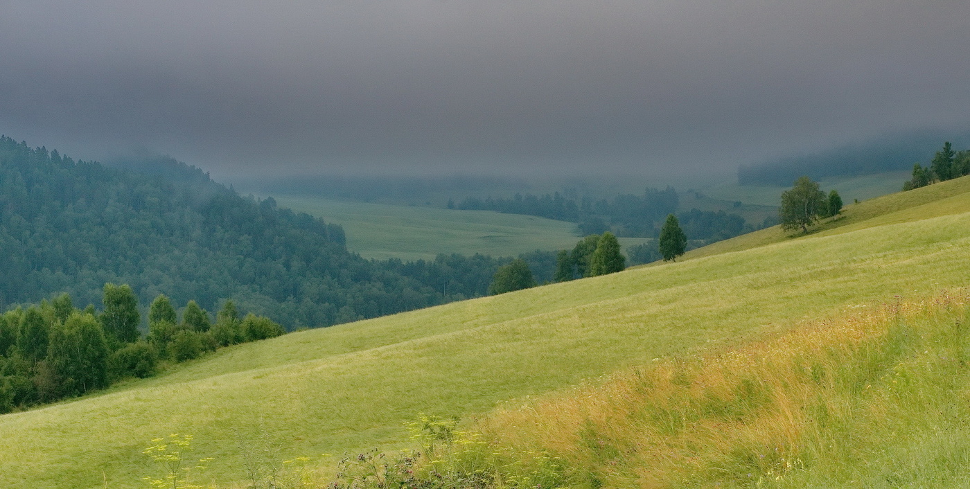 Туманное утро.