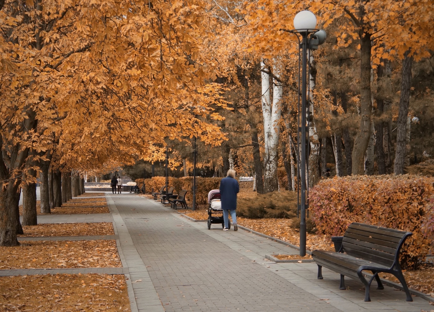 За полчаса до Зимы ..