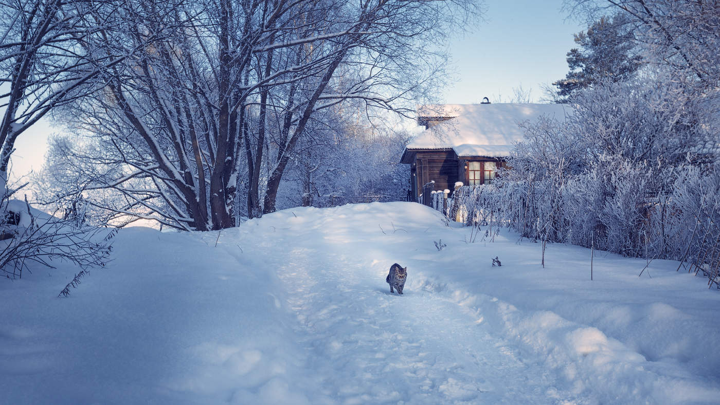 Хозяин Улицы