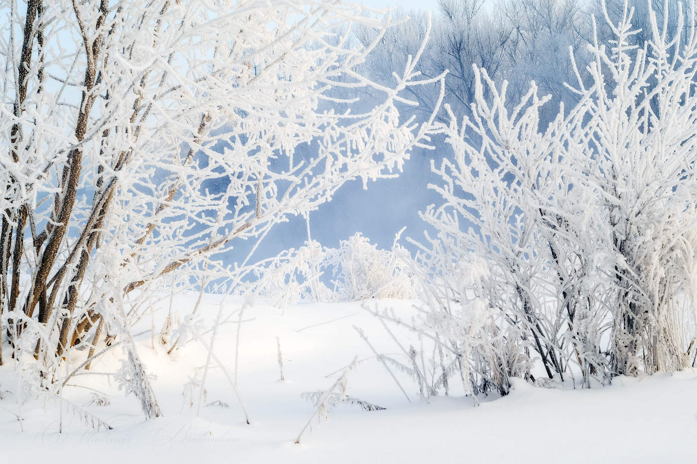 Морозные кружева