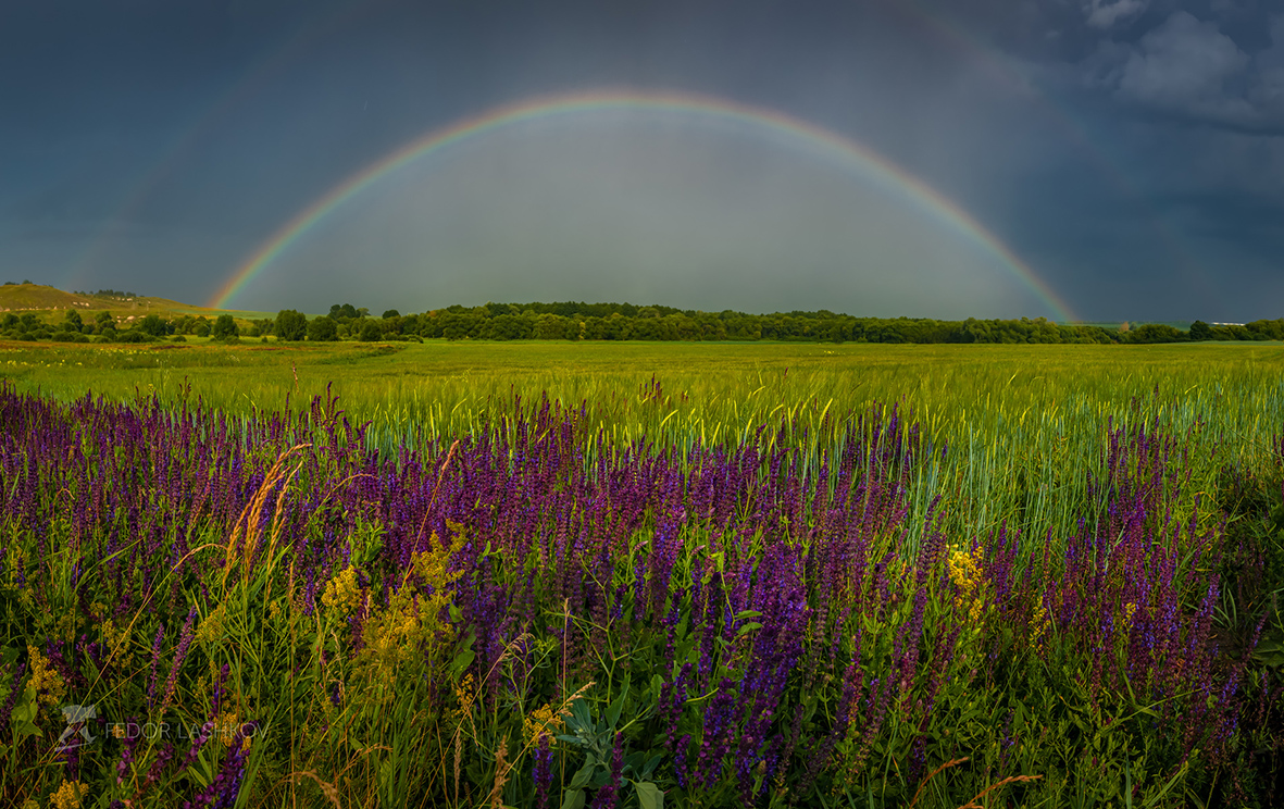Радуга над цветущим лугом