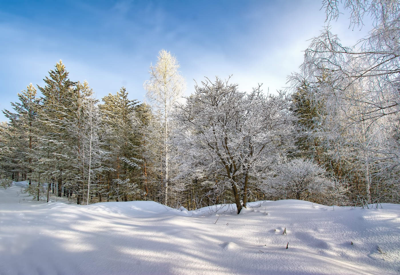 Морозная краса