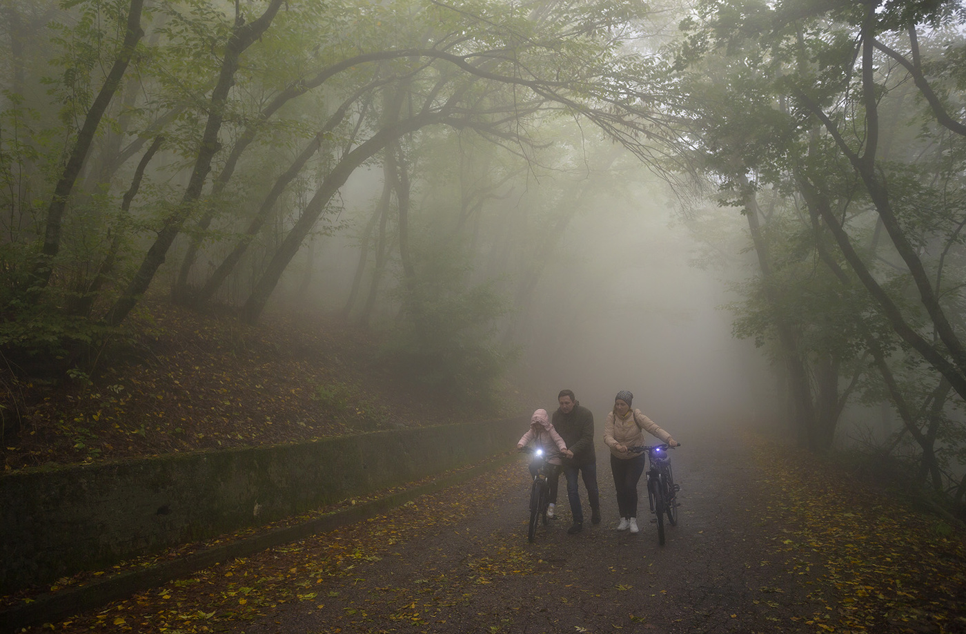 Туманная осень *