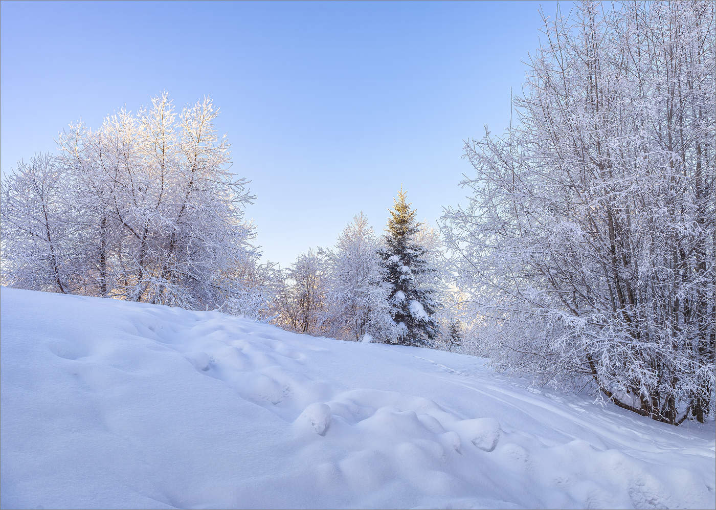 Про Крещенский мороз