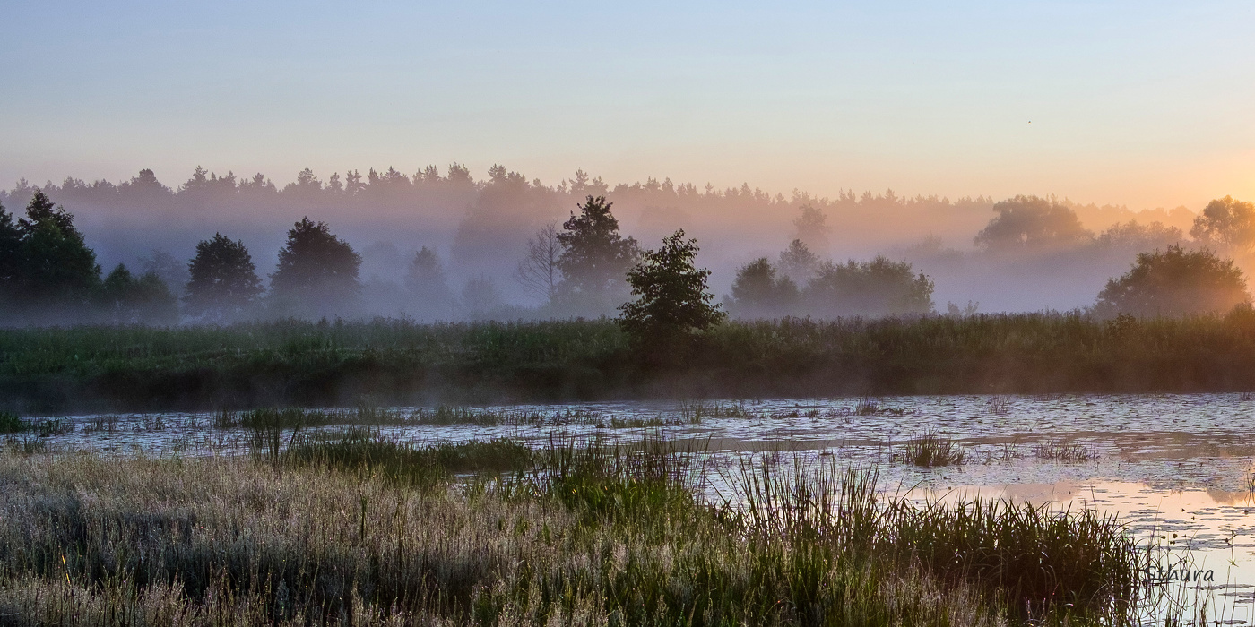 Летнее утро.