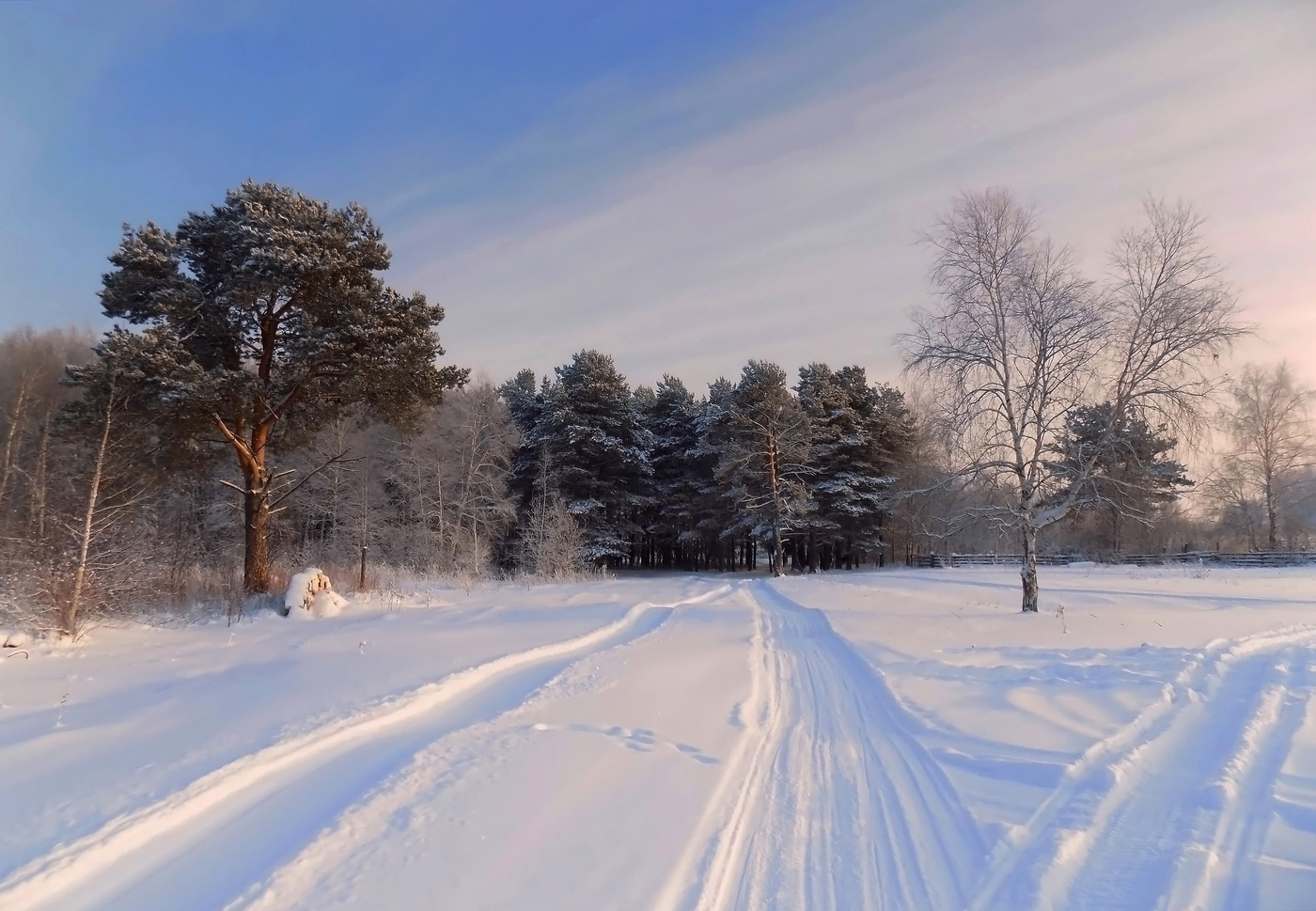 По зимним тропам...