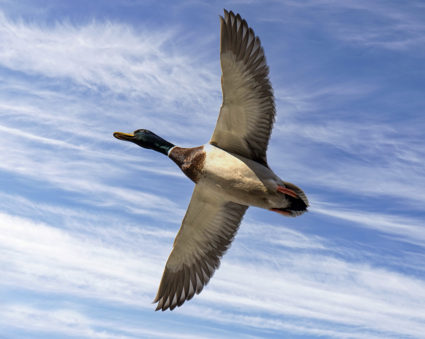 Под облаками.