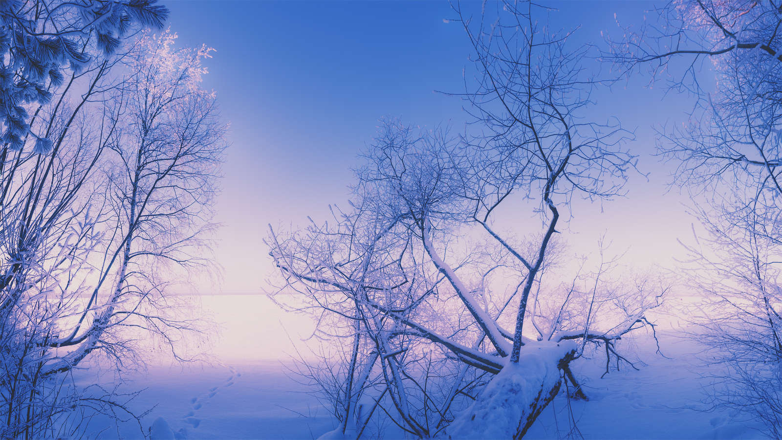 Берег озера