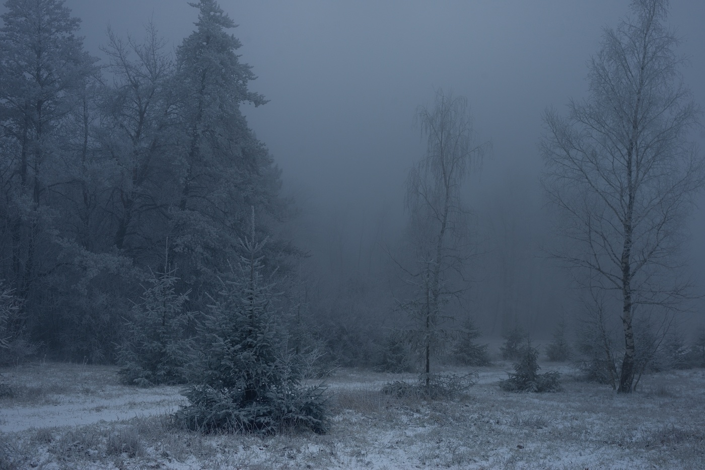 Туманный рассвет