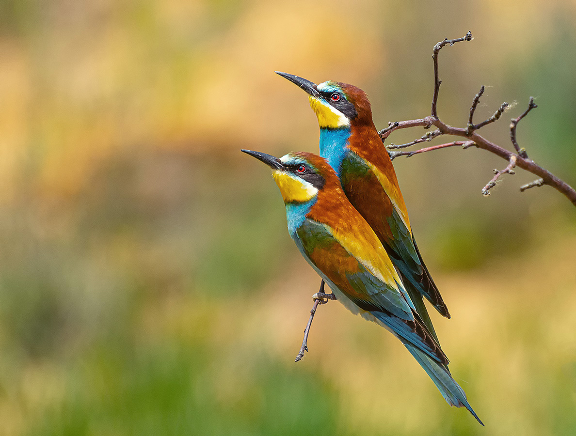 Мы с Тамарой сидим парой